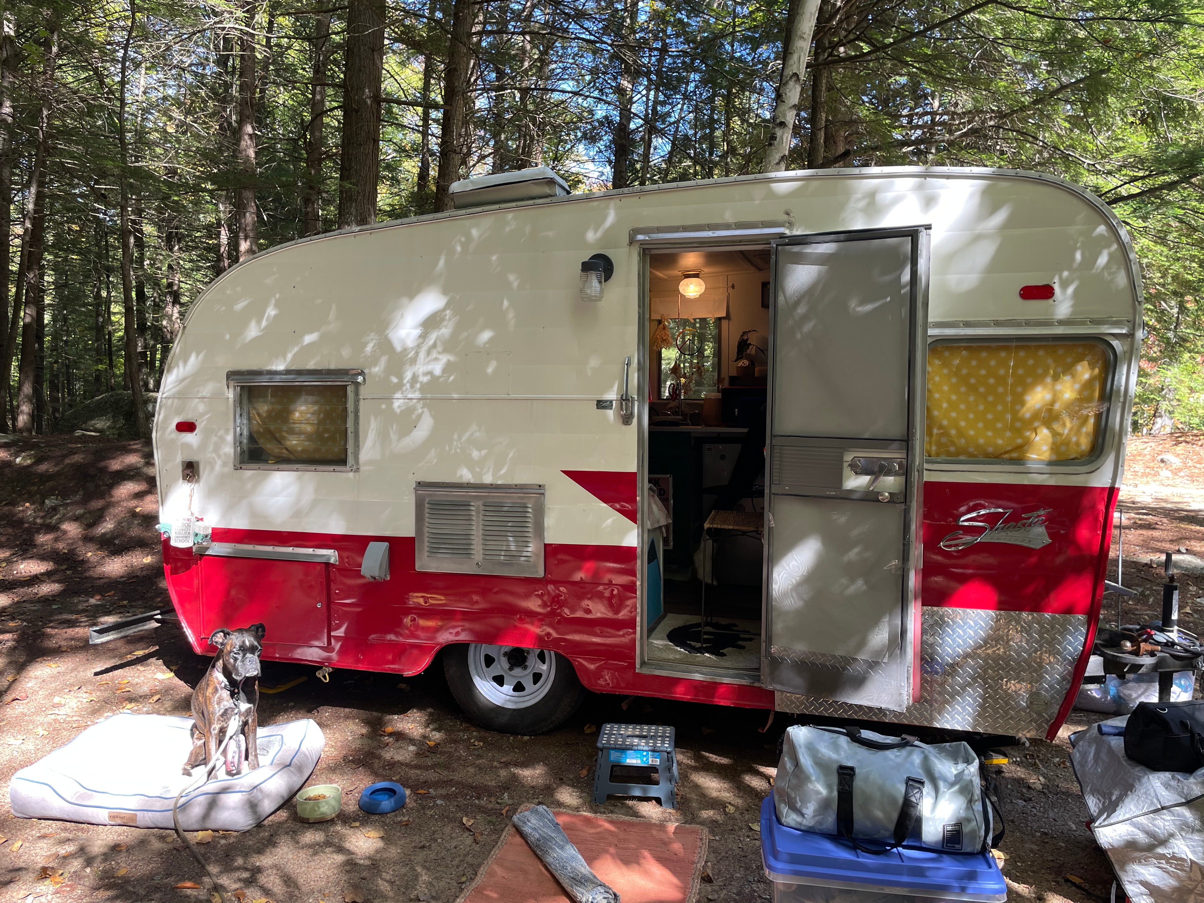 Camper submitted image from Twin Tamarack Family Camping and RV Resort - 1