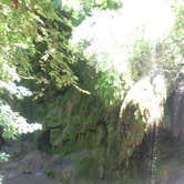 Review photo of South Area — Colorado Bend State Park Campground by Levi M., September 4, 2018
