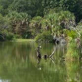 Review photo of Kathryn Abbey Hanna Park by Stuart K., October 4, 2022