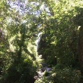 Review photo of Colorado Bend State Park Campground by Levi M., September 4, 2018