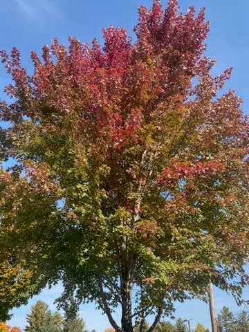 Camper-submitted photo at Rivers Bend Campground near Iron Mountain, MI
