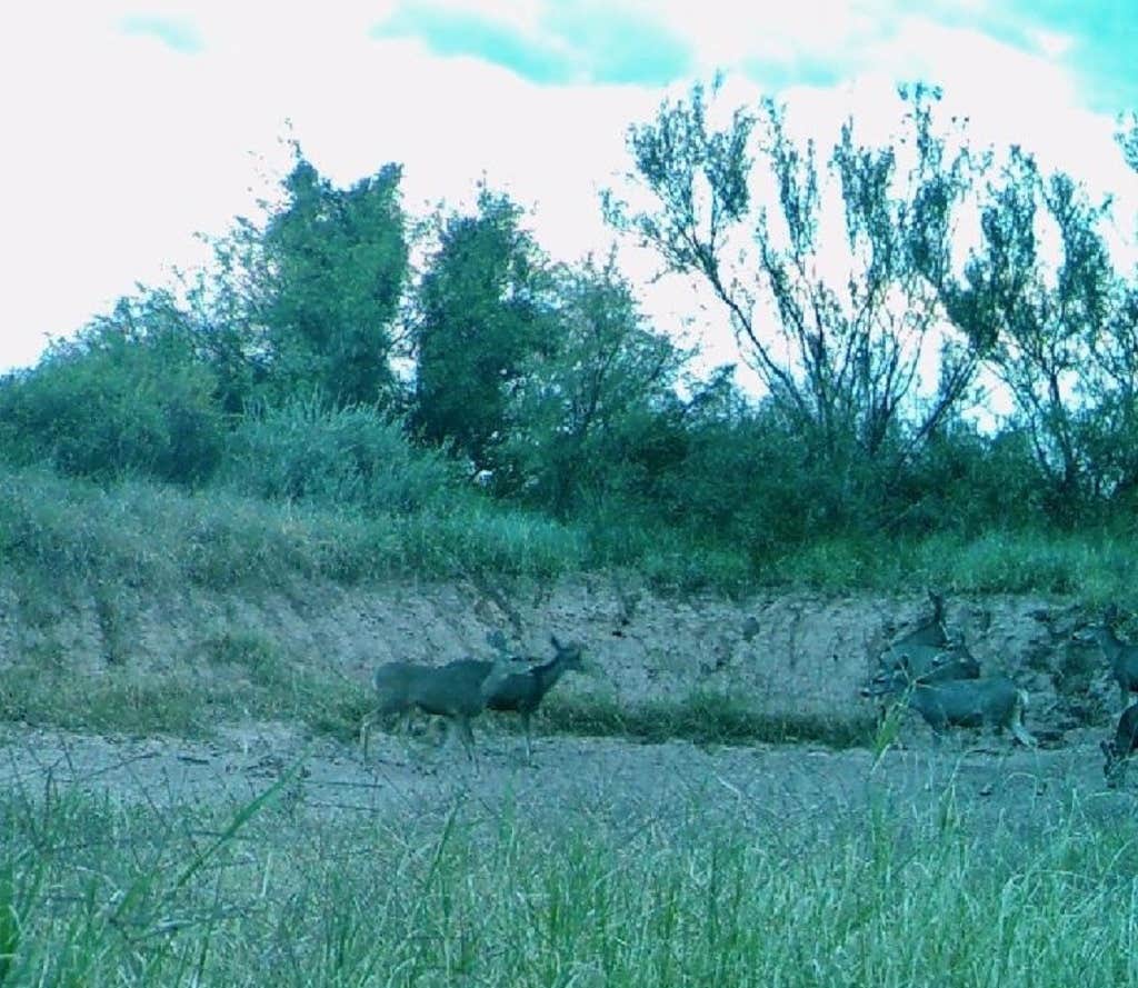 Camper-submitted photo at Desert Oasis Campground near Hereford, AZ