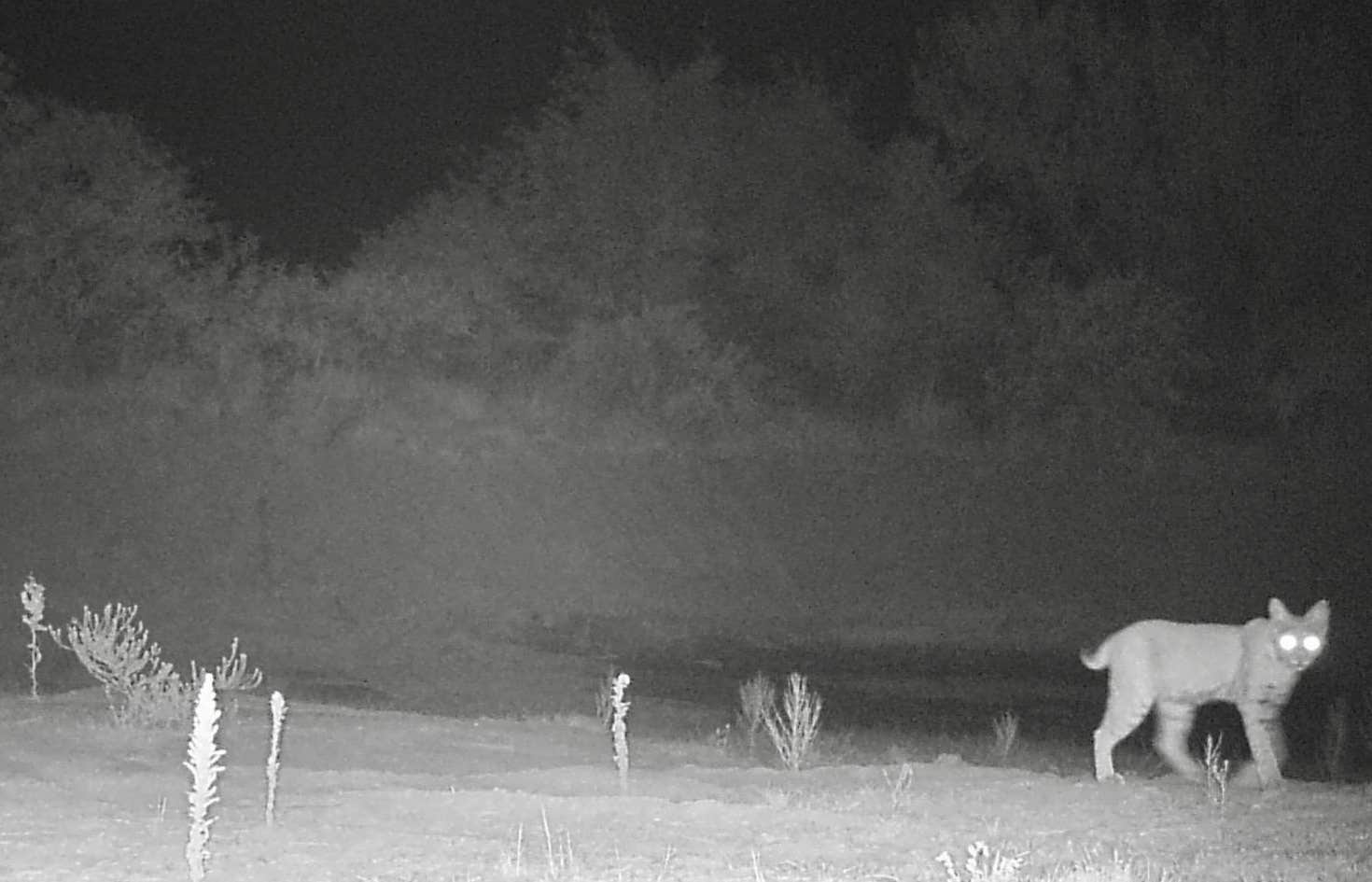 Camper-submitted photo at Desert Oasis Campground near Hereford, AZ