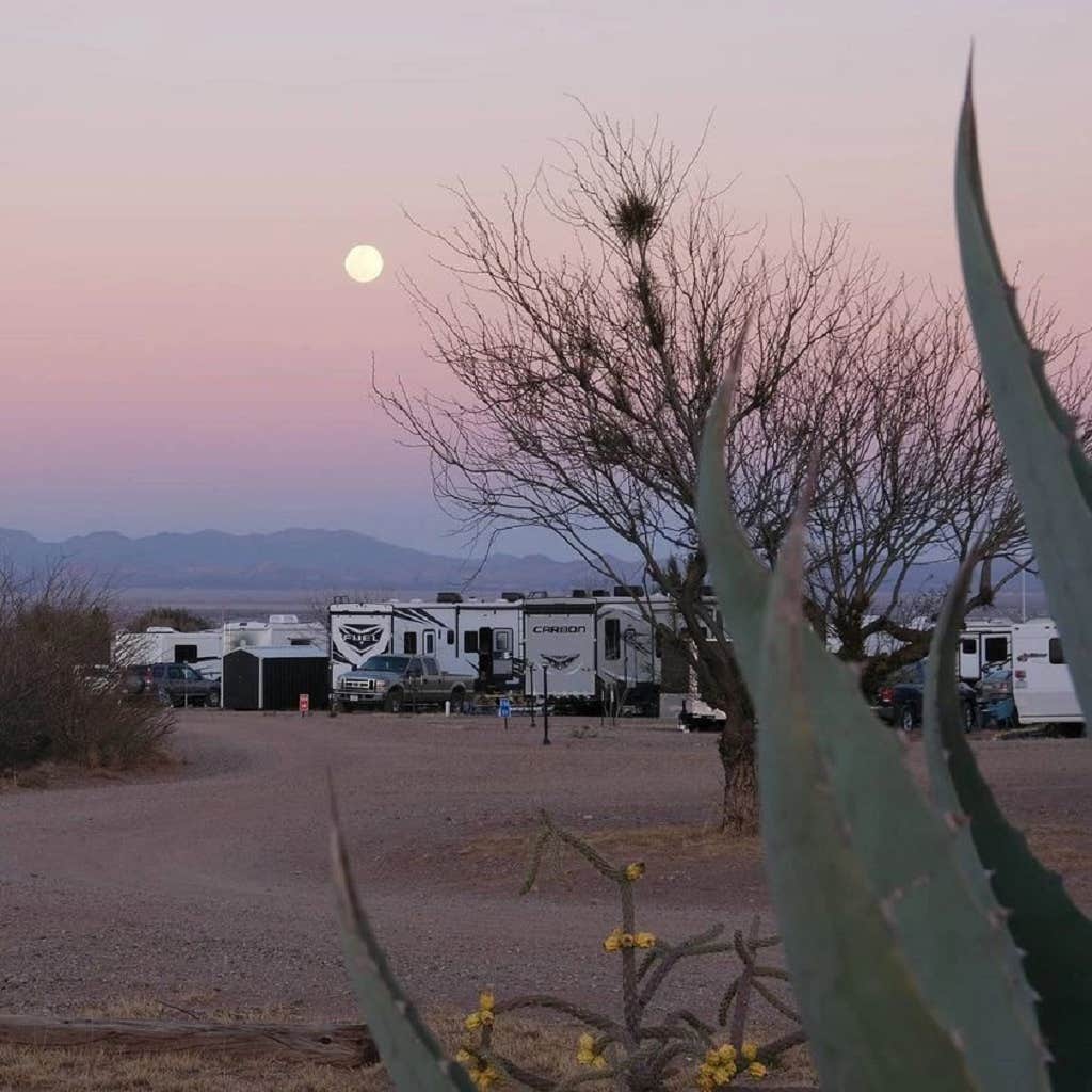 James J.'s photo of rv camping at Desert Oasis Campground near Douglas, AZ