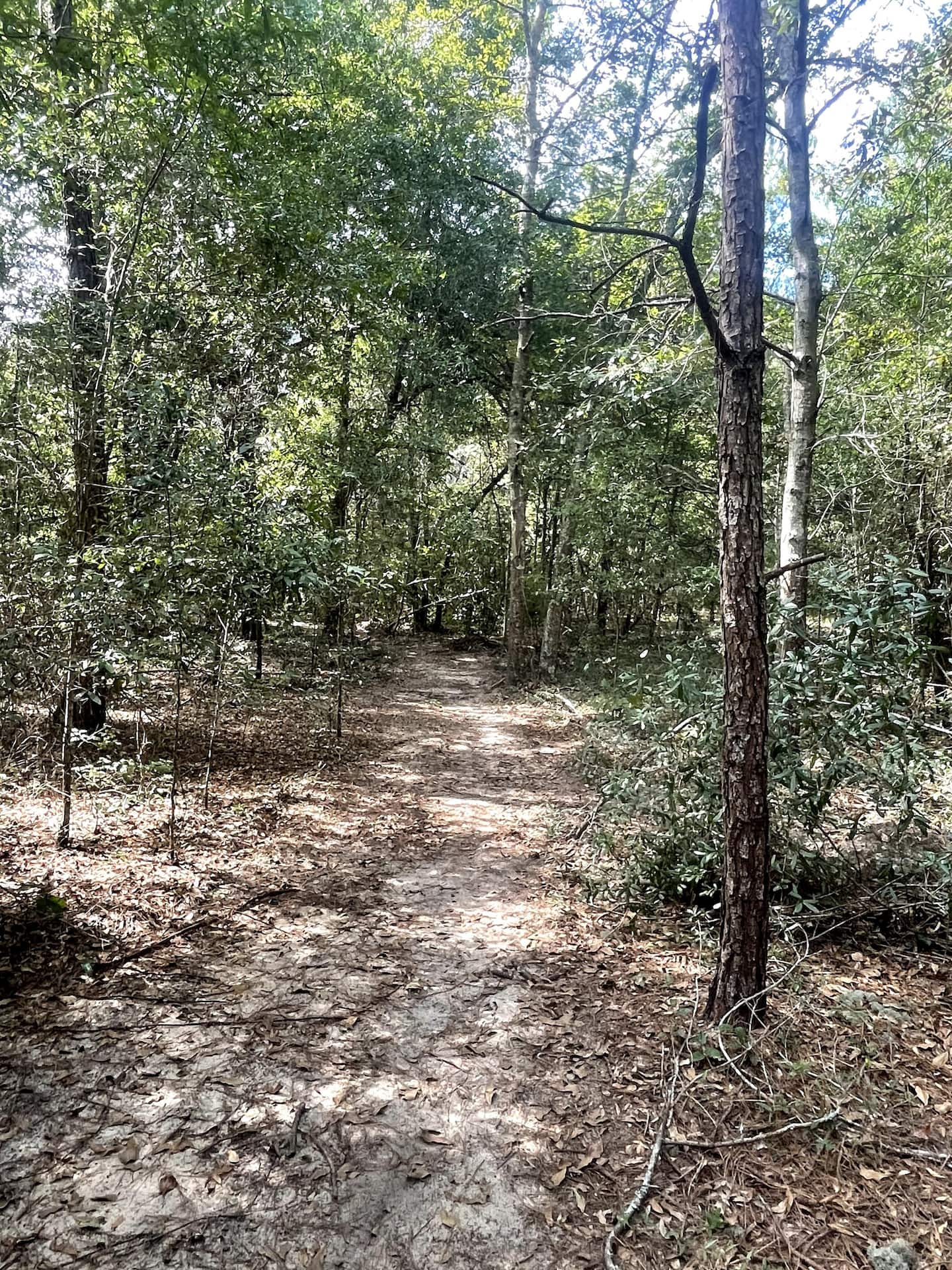 Camper-submitted photo at Crunchy Acres near Lexington, SC