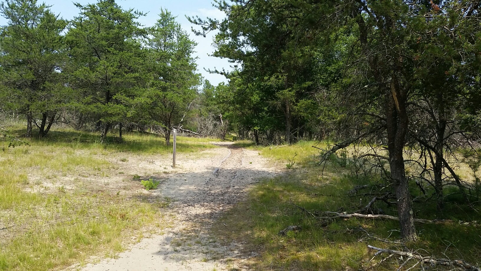 The trail in