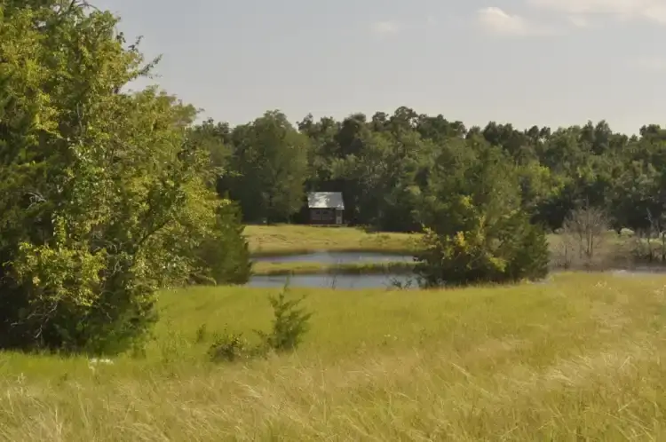 Camper-submitted photo at Rockin Bar B Ranch near Rowlett, TX