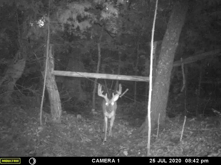 Camper-submitted photo at Rockin Bar B Ranch near Rowlett, TX