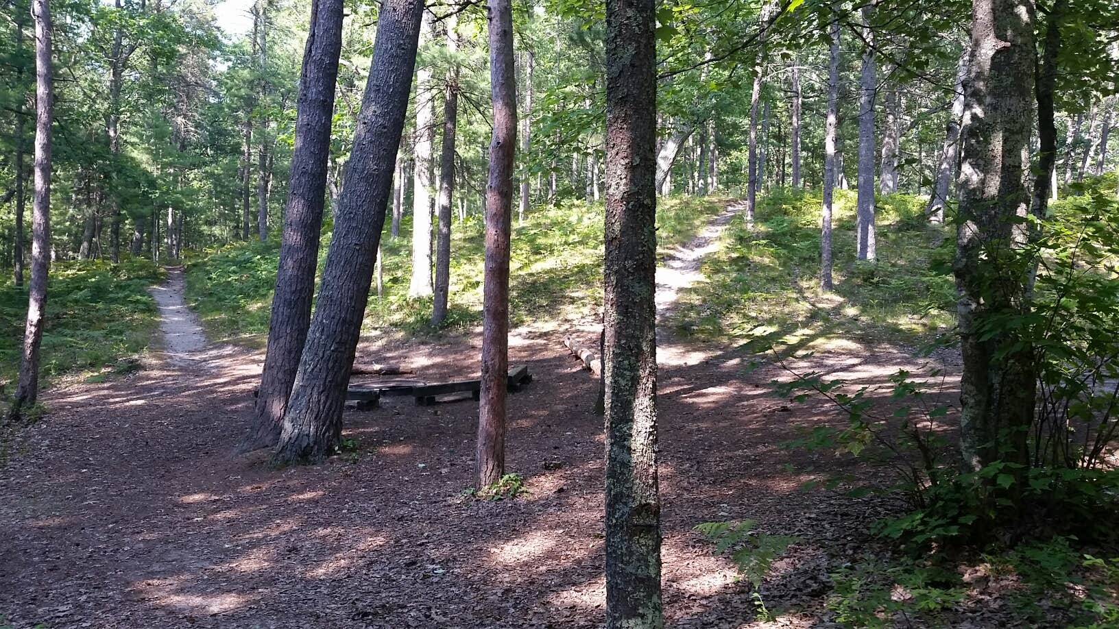 Camper-submitted photo at White Pine Canoe SF Campground near Gaylord, MI
