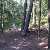 Review photo of White Pine Canoe SF Campground by Dalton B., September 4, 2018