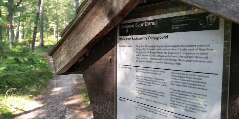 Camper submitted image from White Pine Canoe SF Campground