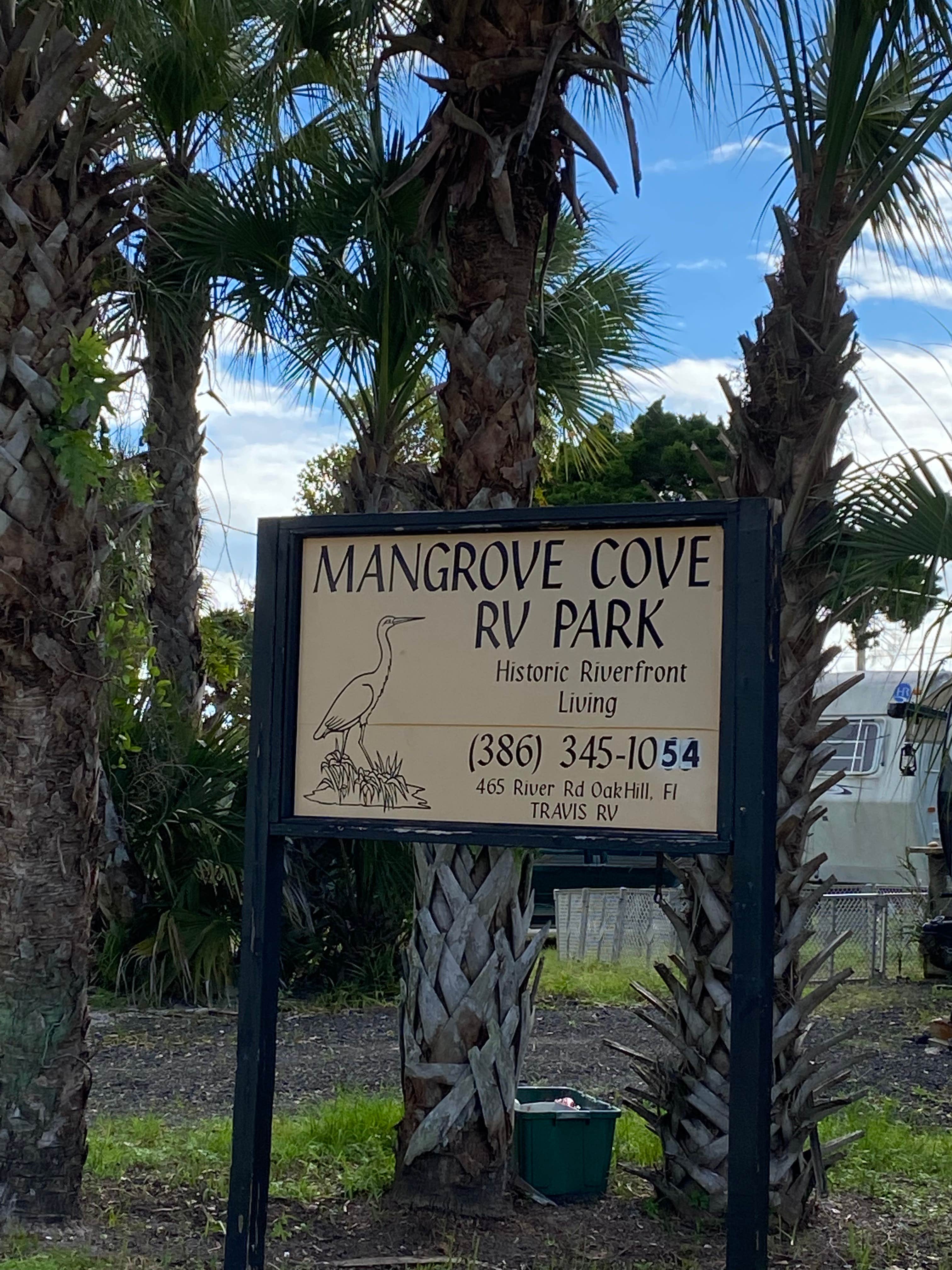 Camper-submitted photo at Mangrove Cove RV Park near Port Orange, FL