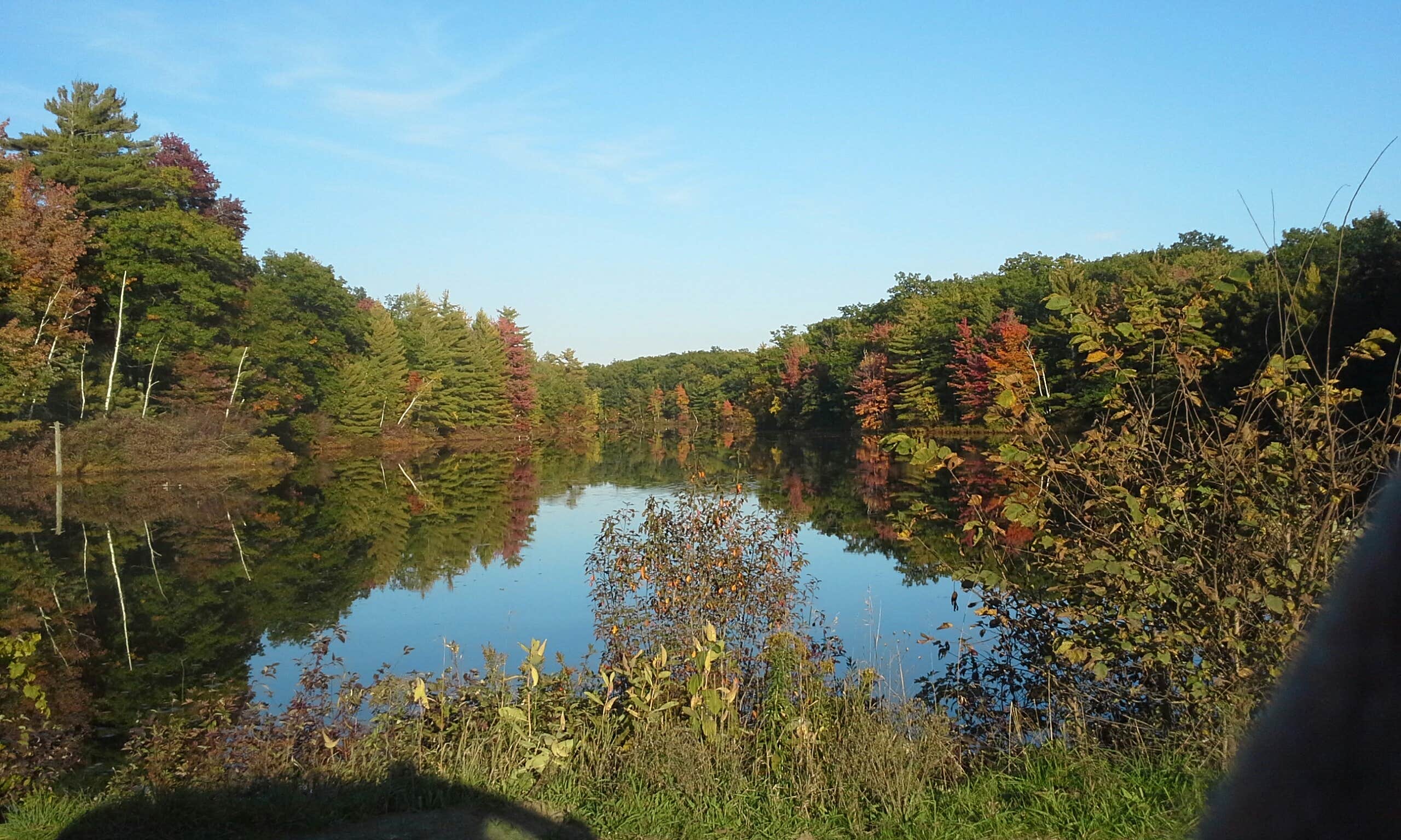 Escape To Serenity: Your Guide To Michigan’s Lake Dubonnet Campground