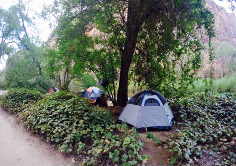 Alex B.'s photo of tent camping at Havasupai Reservation Campground near Grand Canyon National Park