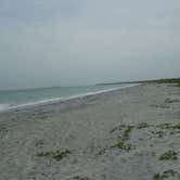 Review photo of Cayo Costa State Park Campground by Ellen E., August 5, 2016