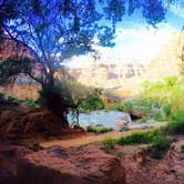 Review photo of Havasupai Reservation Campground by Alex B., September 5, 2018