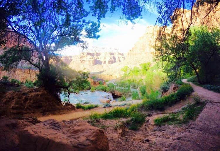 Camper submitted image from Havasupai Reservation Campground - 4