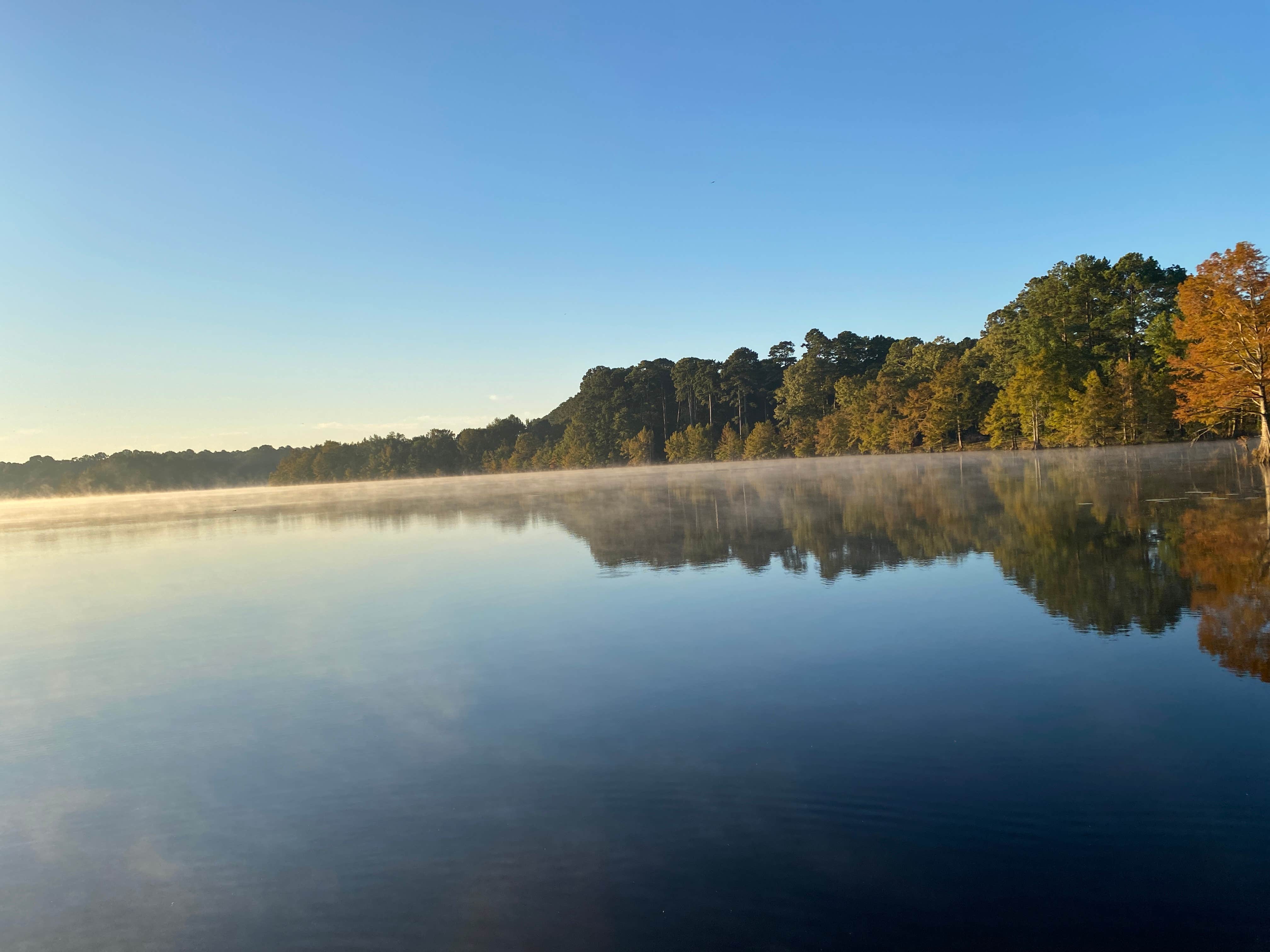 Camper submitted image from South Shore Campground - 1