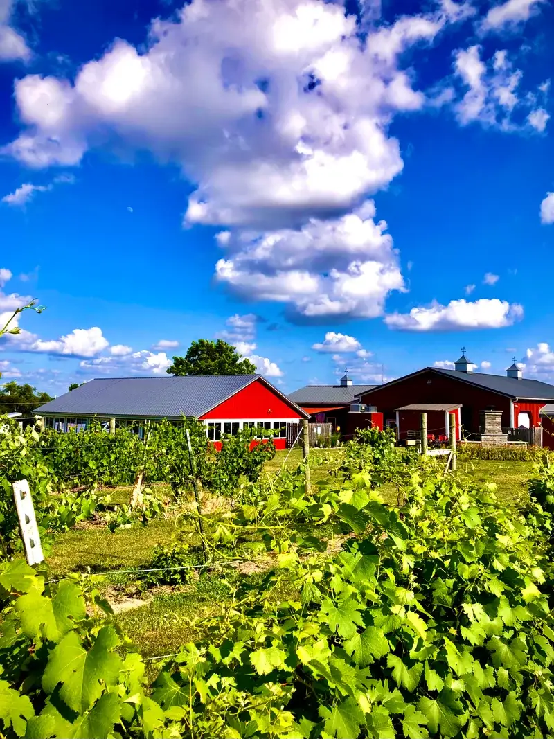 Camping near Shady Acres RV Park: Stone Pillar Vineyard & Winery, Lenexa, Kansas