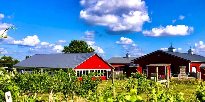 Camper submitted image from Stone Pillar Vineyard & Winery