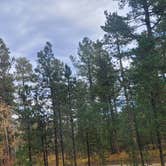 Review photo of Bismarck Lake Campground by Jan B., October 4, 2022