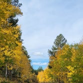 Review photo of Bismarck Lake Campground by Jan B., October 4, 2022