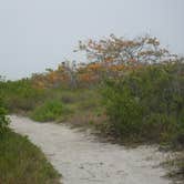Review photo of Cayo Costa State Park Campground by Ellen E., August 5, 2016