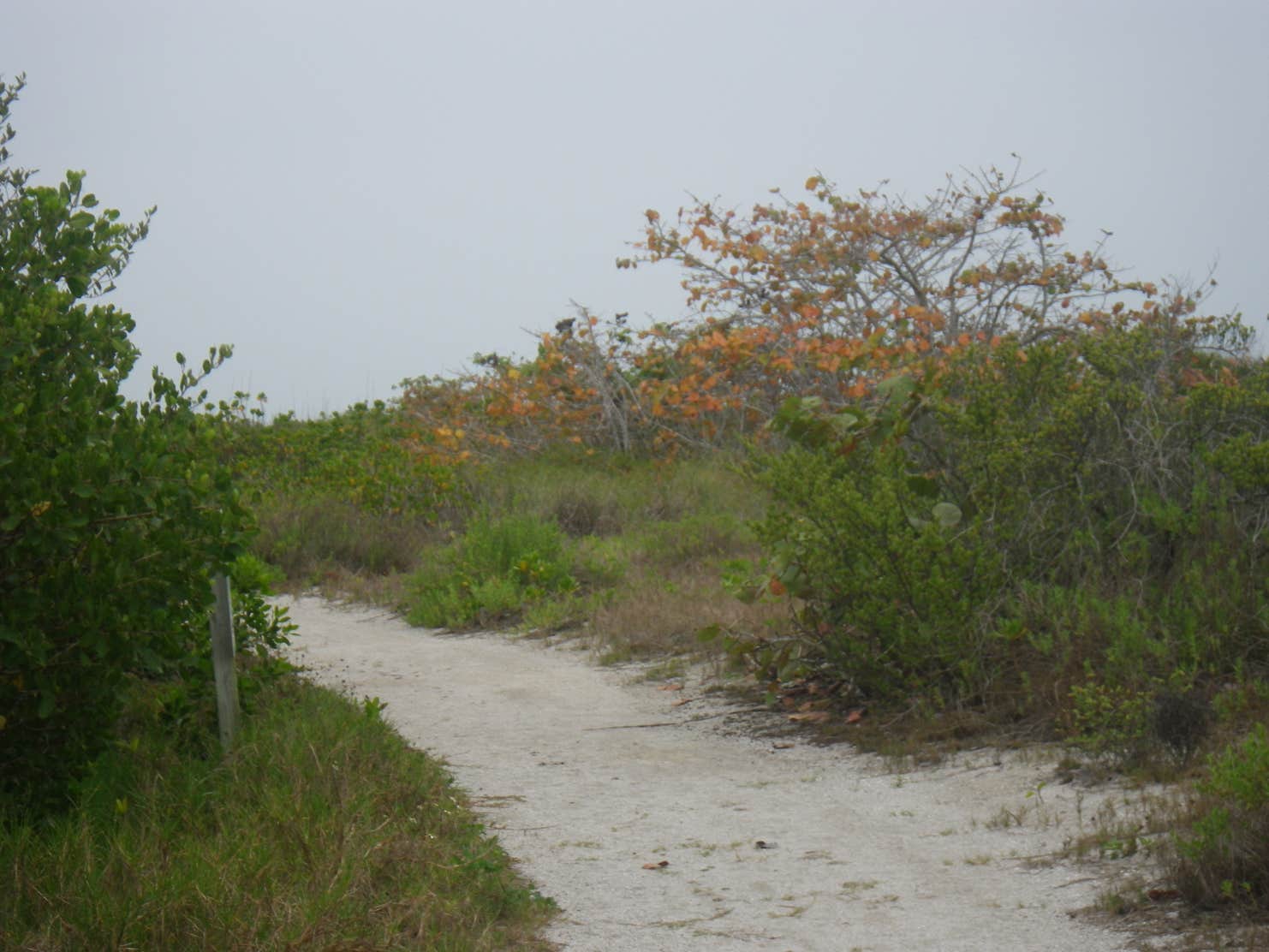 Cayo Costa State Park The Dyrt