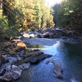 Review photo of Staircase Campground - Olympic National Park by Kelsey M., September 5, 2018