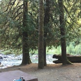 Review photo of Staircase Campground - Olympic National Park by Kelsey M., September 5, 2018