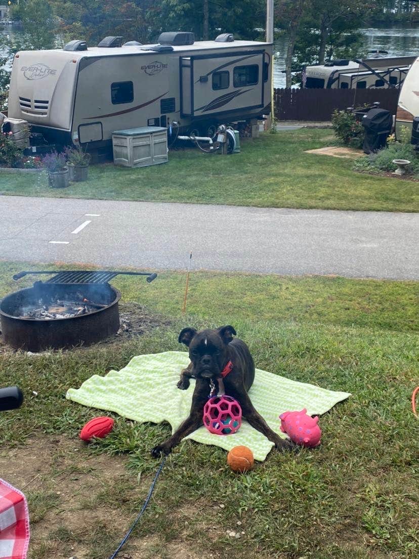 Camper-submitted photo at Long Island Bridge Campground near Laconia, NH