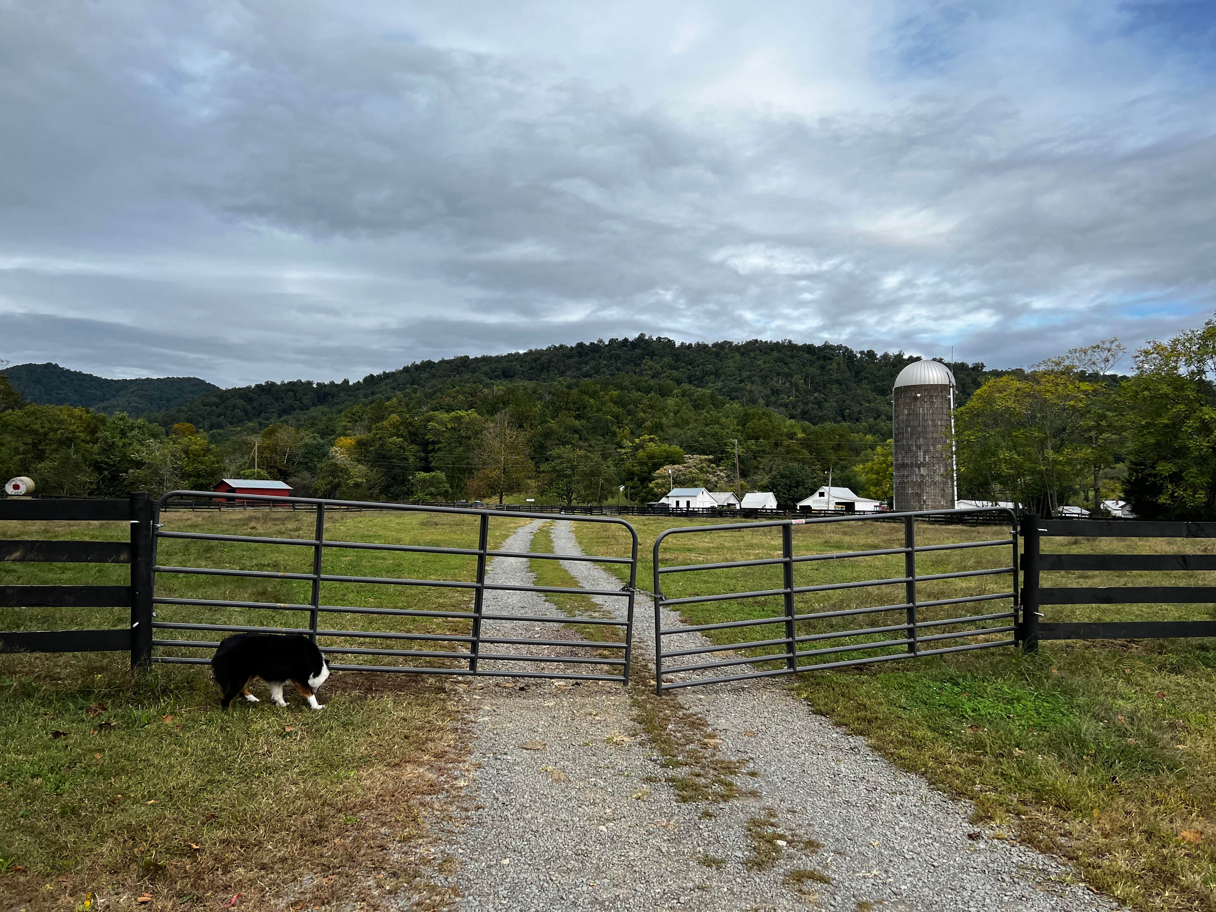 Camper submitted image from Graves Mountain Farm & Lodge - 5