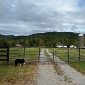 Review photo of Graves Mountain Farm Campground by Lucinda B., October 4, 2022