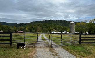 Lucinda B.'s photo of camping with pets at Graves Mountain Farm Campground near Shenandoah, VA