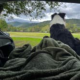 Review photo of Graves Mountain Farm Campground by Lucinda B., October 4, 2022