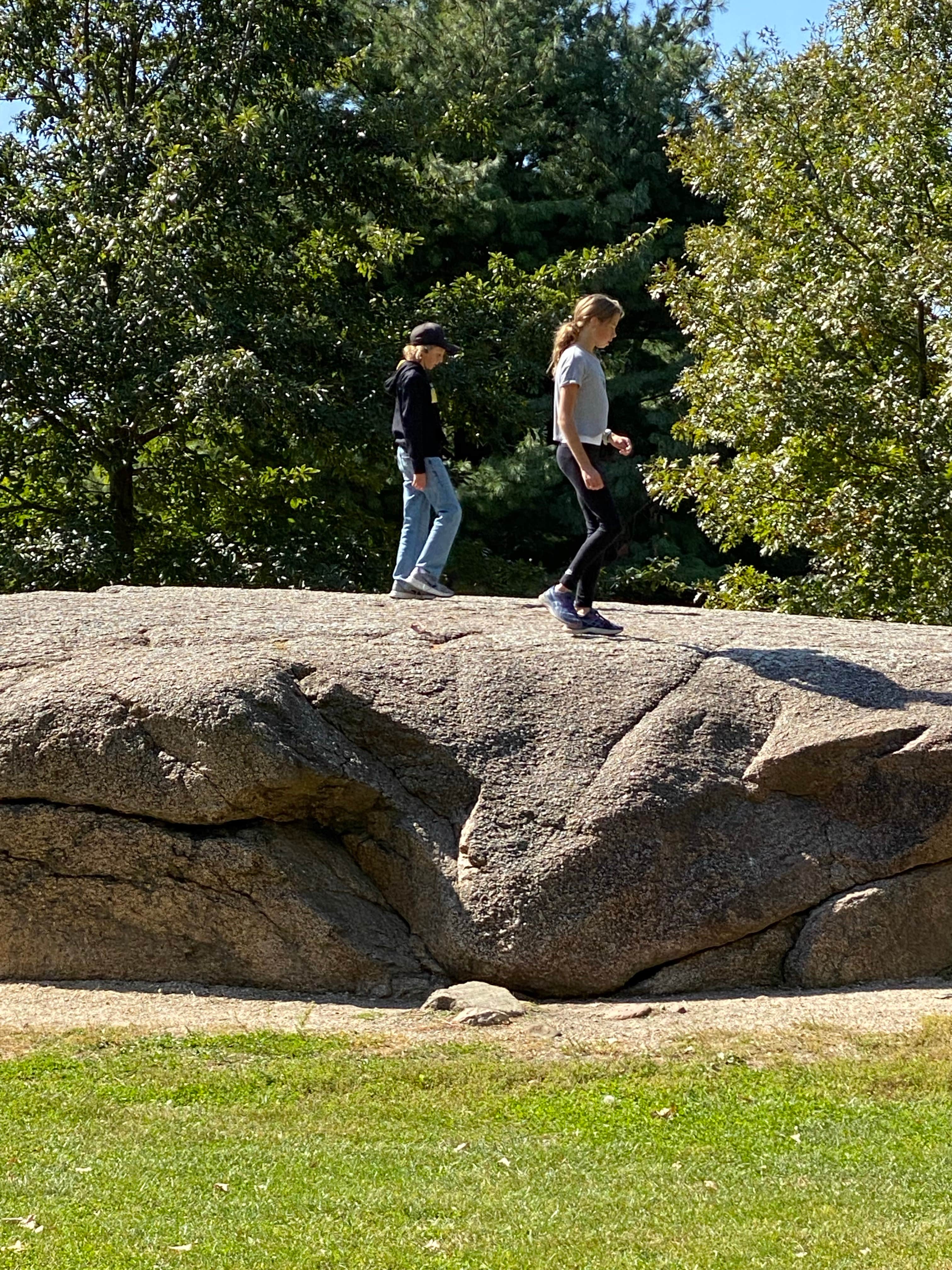 Camper submitted image from Wilder City Park - 4