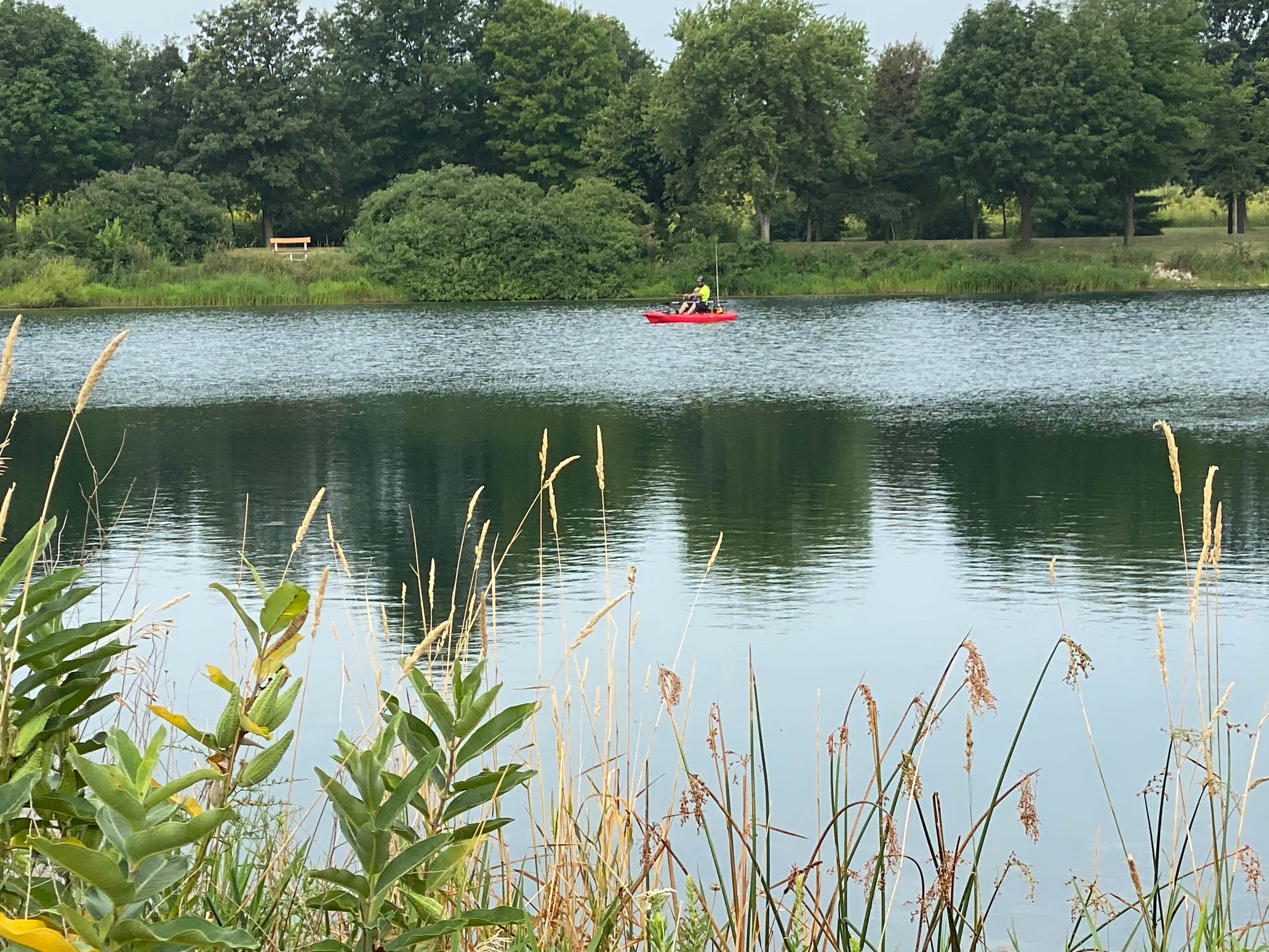 Camper submitted image from Wilder City Park - 5
