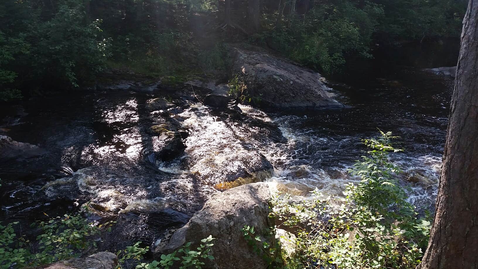 Camper submitted image from Farquar-Metsa Tourist Park - 3