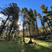 Review photo of Deerhead Campground — Lincoln National Forest by Alicia L., October 5, 2022