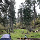 Review photo of Deerhead Campground — Lincoln National Forest by Alicia L., October 5, 2022