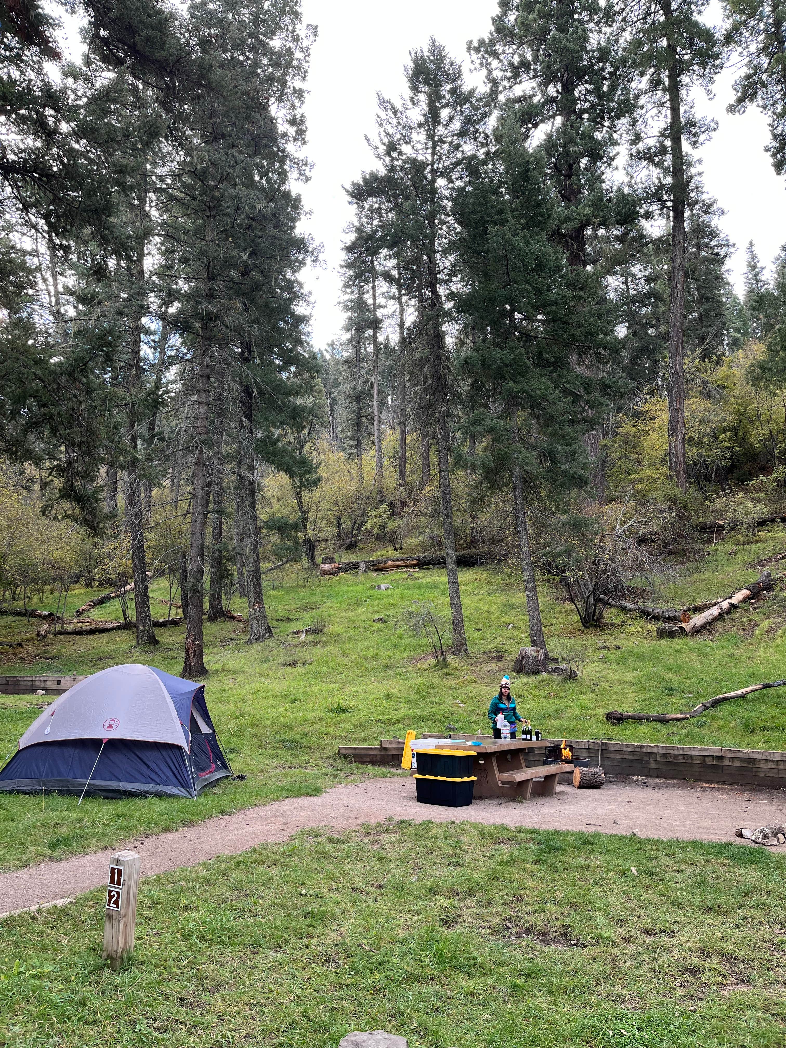 Camper submitted image from Deerhead Campground — Lincoln National Forest - 4