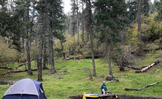 Alicia L.'s photo at Deerhead Campground — Lincoln National Forest near Lincoln National Forest