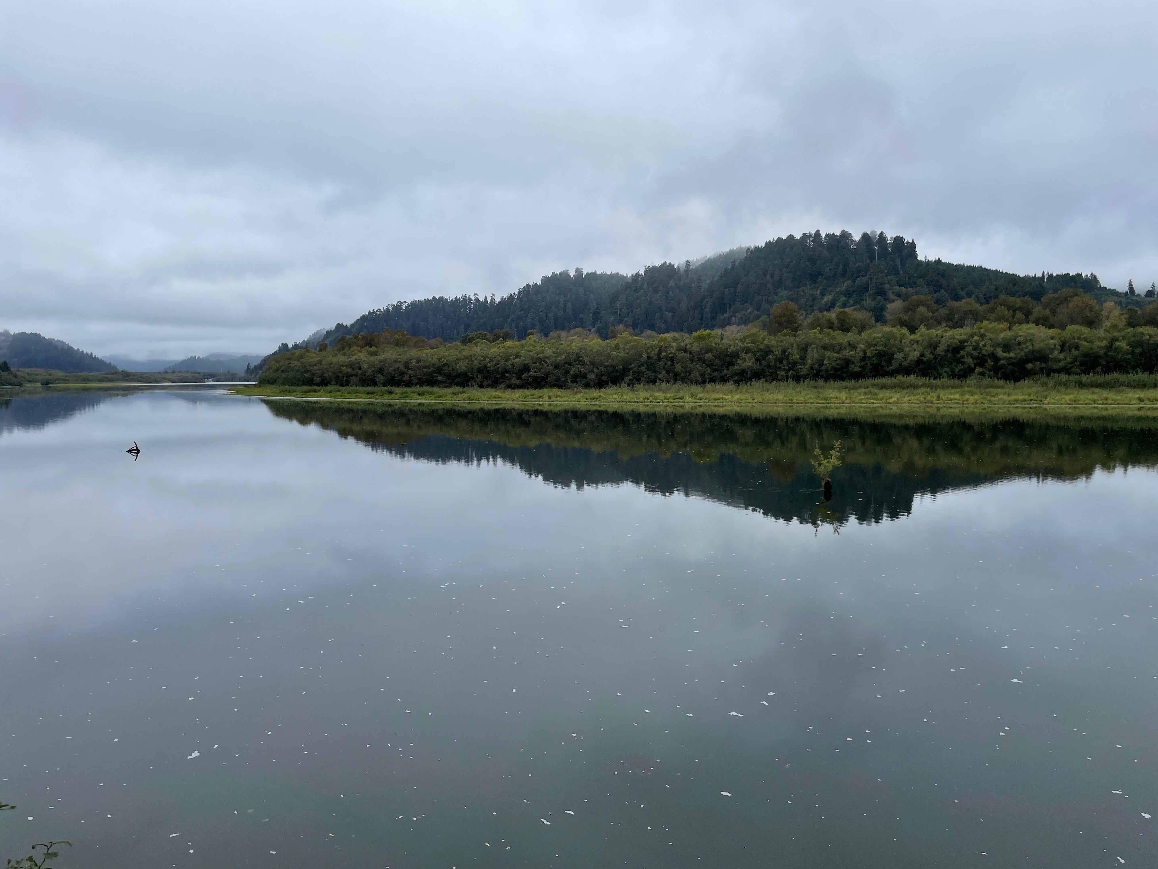 Camper submitted image from klamath river rv park - 3