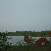 Review photo of Cayo Costa State Park Campground by Ellen E., August 5, 2016
