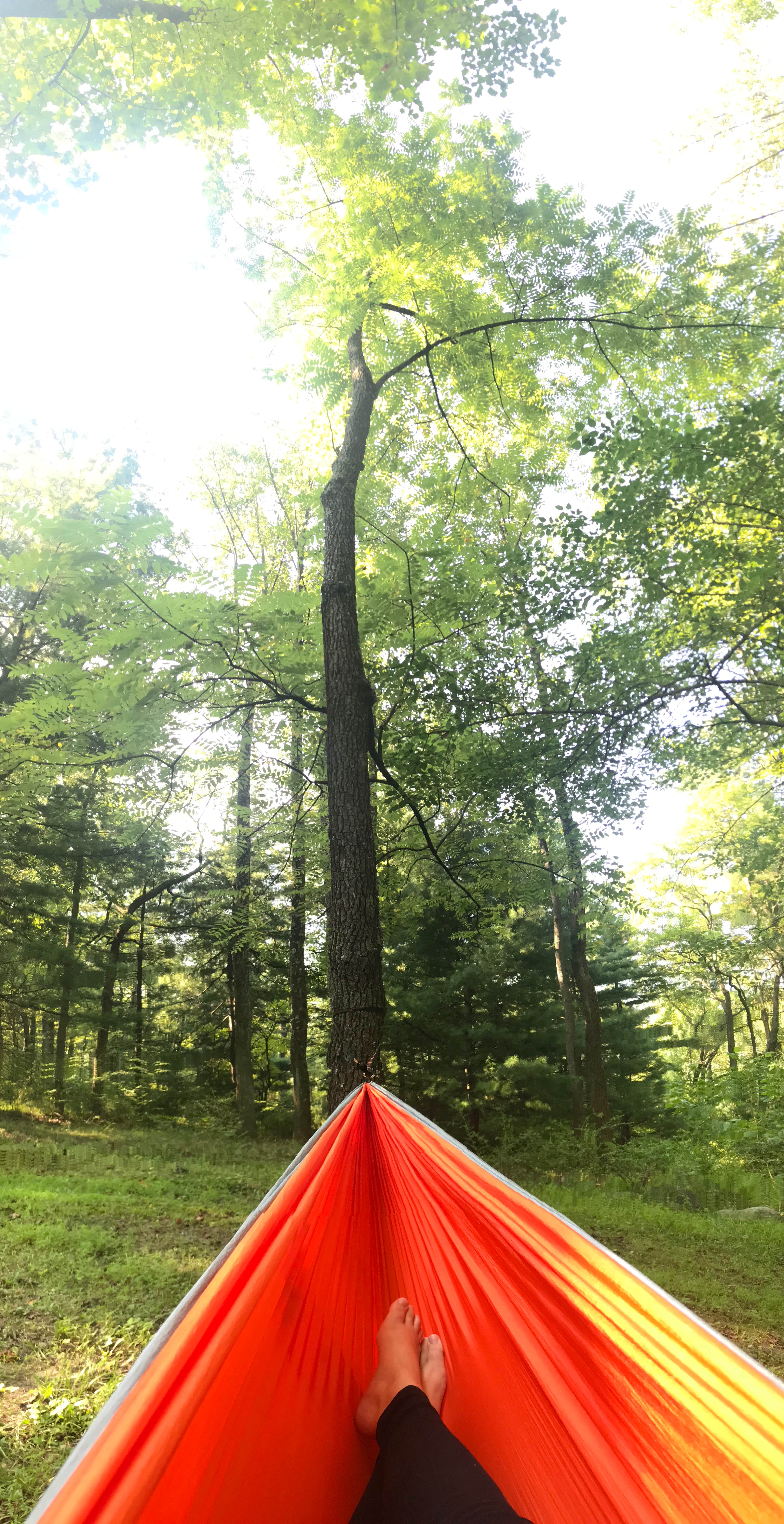 Andrea S.'s photo at Gambrill State Park Campground near Mount Airy, MD