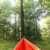 Review photo of Gambrill State Park Campground by Andrea S., September 5, 2018