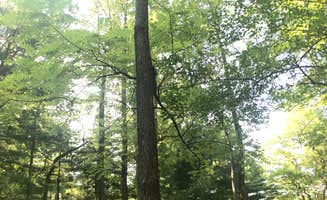 Andrea S.'s photo at Gambrill State Park Campground near Braddock Heights, MD
