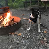 Review photo of Gambrill State Park Campground by Andrea S., September 5, 2018