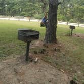 Review photo of Kisatchie National Forest Loran/Claiborne Trailhead Camp by Paula W., September 5, 2018