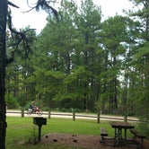 Review photo of Kisatchie National Forest Loran/Claiborne Trailhead Camp by Paula W., September 5, 2018